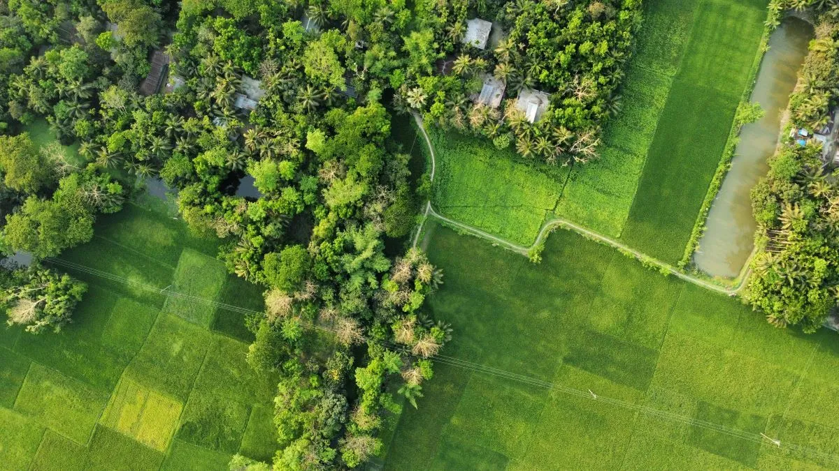 Widok działek z góry.
