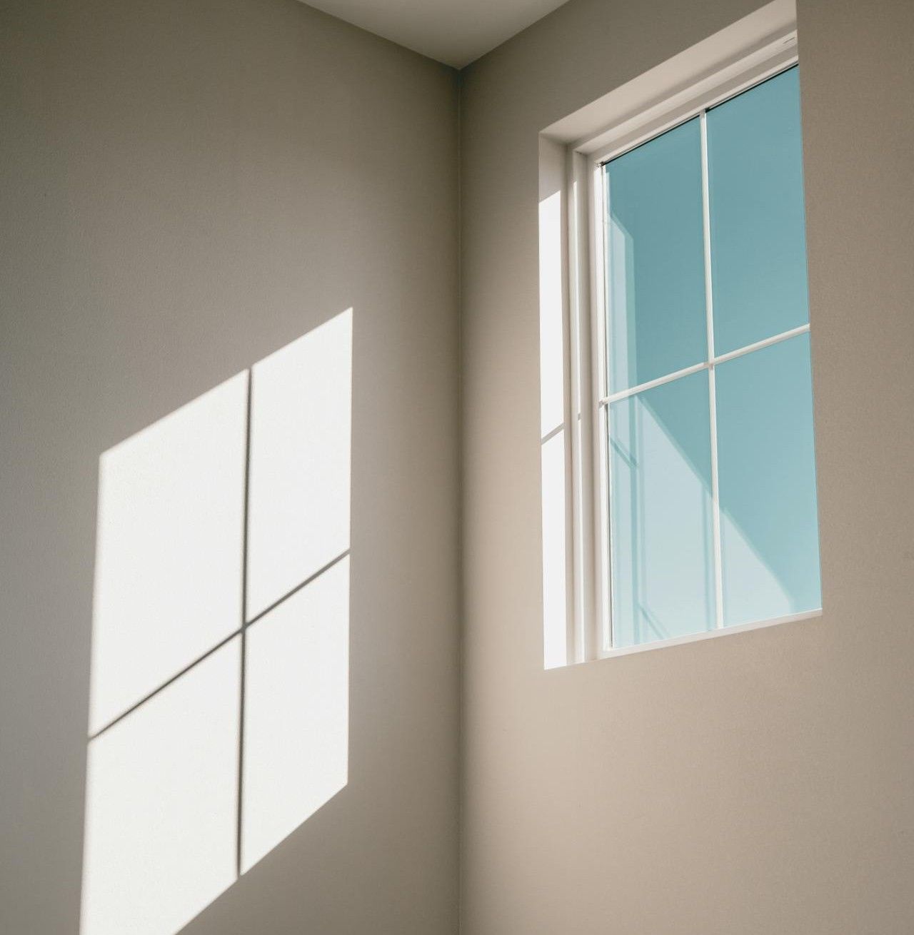 Case Study producent okien