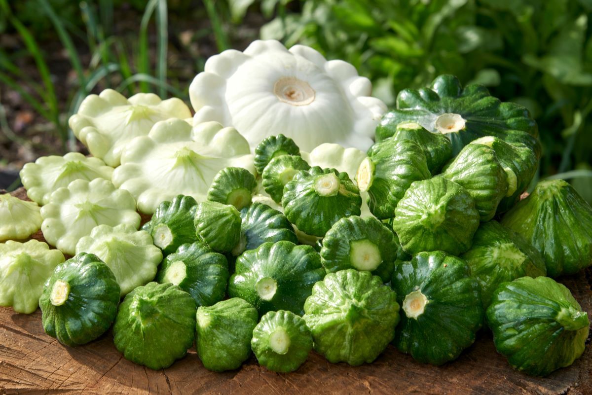 Warzywa na zbliżeniu.